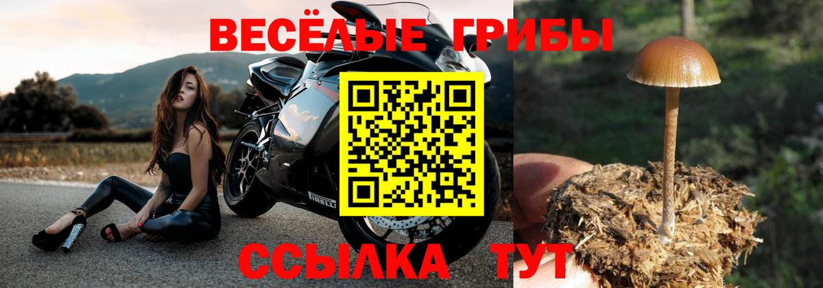 Псилоцибиновые грибы ЛСД Топки